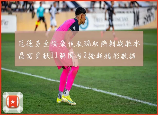 范德芬全场最佳表现助热刺战胜水晶宫贡献11解围与2抢断精彩数据