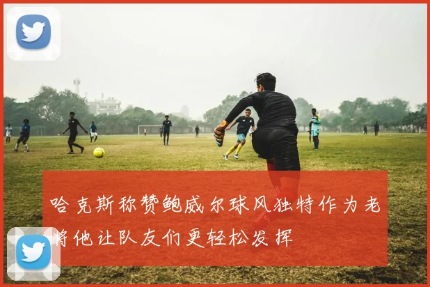 哈克斯称赞鲍威尔球风独特作为老将他让队友们更轻松发挥