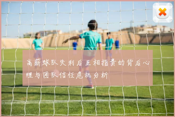 高薪球队失利后互相指责的背后心理与团队信任危机分析